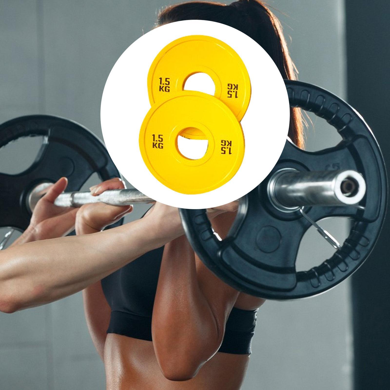Home Gym Routine - Micro Placas de pesas para entrenamiento