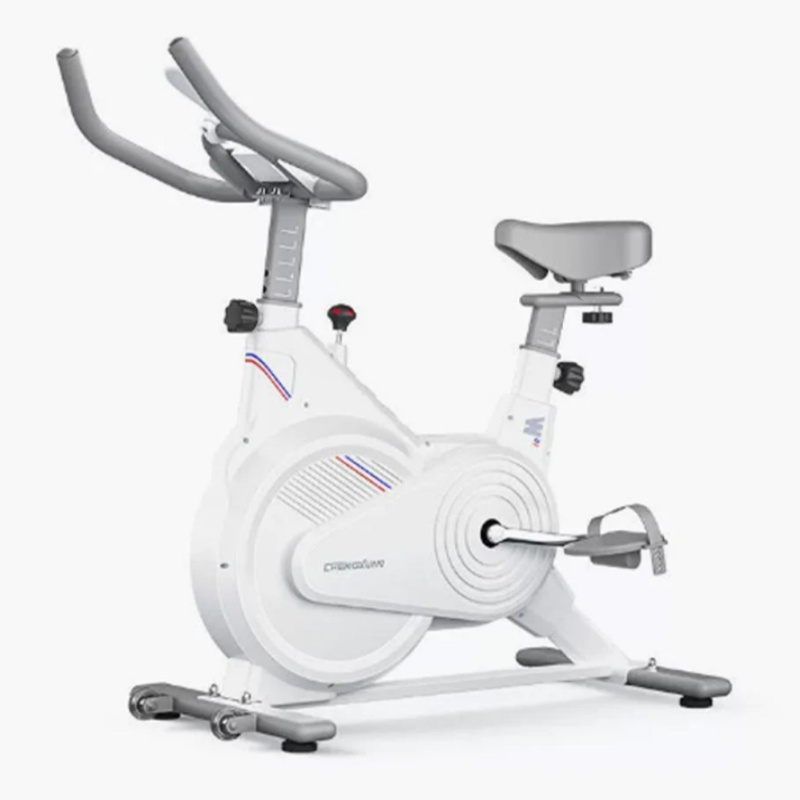 Home Gym No Equipment - Bicicleta Estática de Spinning para Interiores,