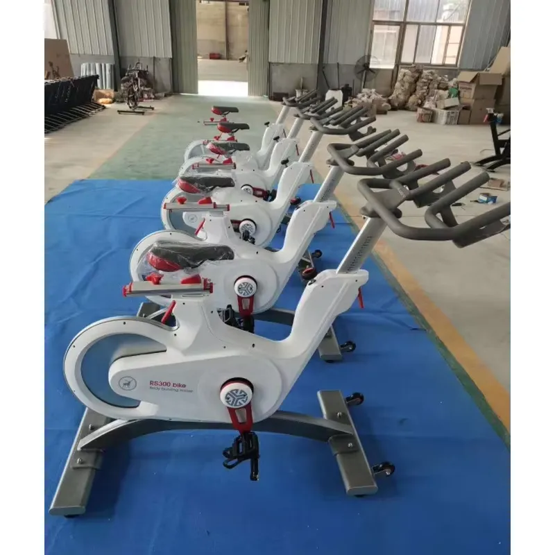 Bicicleta de Spinning Profesio - Home Gym Workout reseña y precio