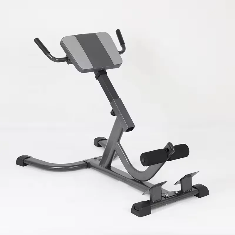 Silla Romana de Acero 2026 Aju - Home Gym Hamstring Exercises reseña y precio
