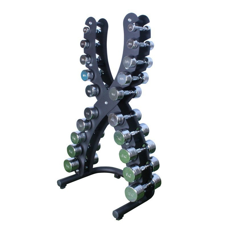 Paquete de 2 mancuernas de ace - Home Gym Diy reseña y precio