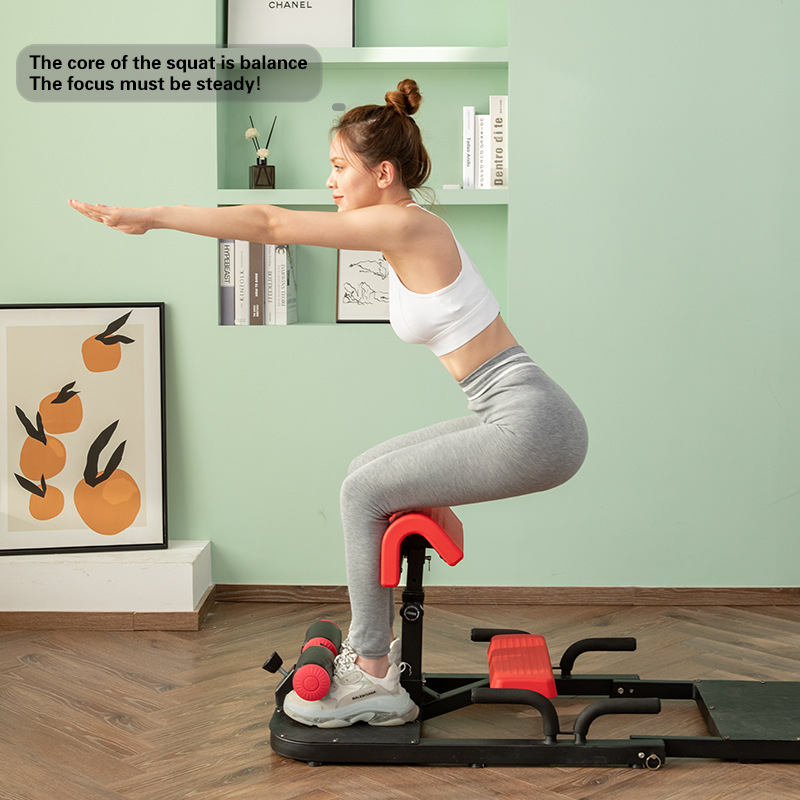 Máquina de Sentadillas Sissy 3 - Home Gym Quad Exercises reseña y precio