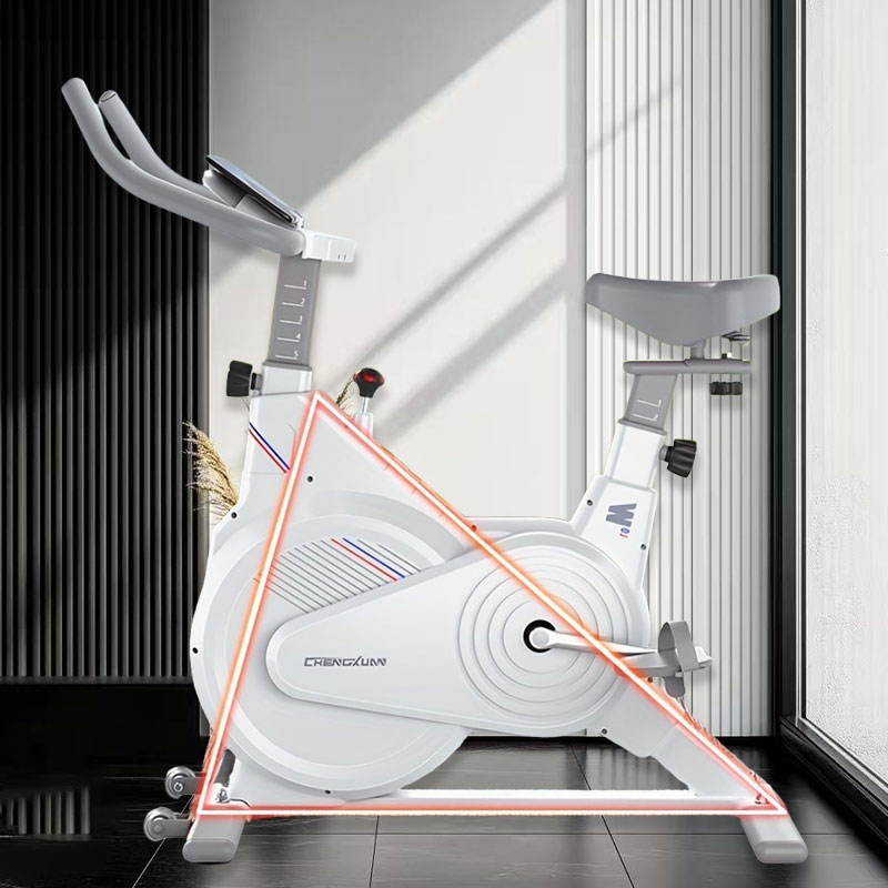 Bicicleta Estática de Spinning - Home Gym No Equipment reseña y precio