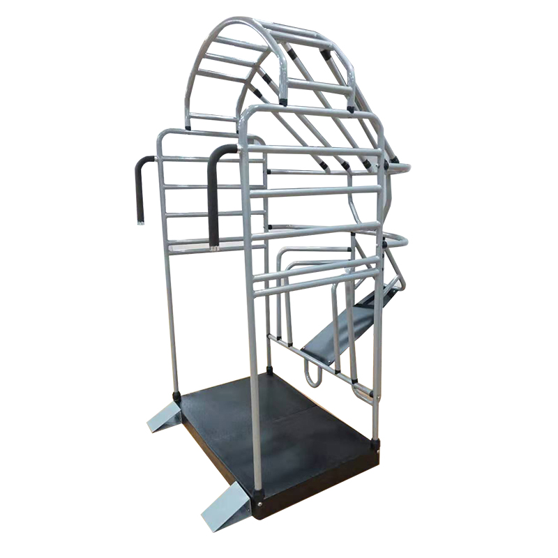 Jaula de estiramiento multifun - Home Gym Hamstring Exercises reseña y precio